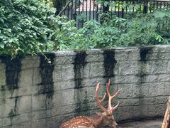 -成都动物园
