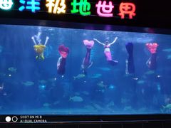 -蓬莱欧乐堡海洋极地世界