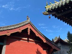 -洛阳市隋唐城遗址植物园