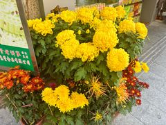 -惠赞老饼家(逢源商业街店)