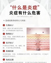 点击看大图 -玛莲朵·海菲秀冰珀科