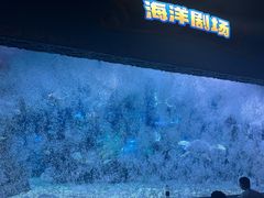 -南昌海洋公园