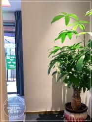 -苑苑vbeauty科技美容SPA