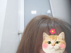 -Mika美嘉·烫染连锁