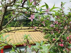 -荔江湾景区