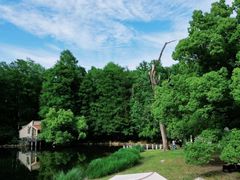 -上海共青森林公园