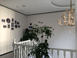 -痘博士昆明·国际祛痘领跑品牌