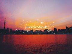 -紫· 割烹  Kappo Murasaki