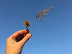 -河南工业大学(莲花街校区)