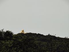 -苏州上方山国家森林公园