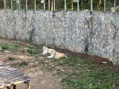 -泉州海丝野生动物世界