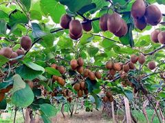 -友阿国际广场(邵阳店)