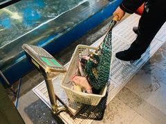-老板恋上鱼(环山路店)