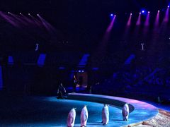 -珠海横琴长隆《卡卡虎奇遇记》