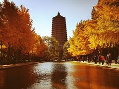 -玲珑塔公园