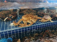 -醉壹号海鲜大排档(厦门美食地标店)