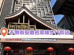 -不倒翁·安徽名菜楼(步行街店)