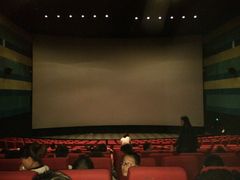 -万达影城(长沙婚庆公园中国巨幕店)