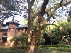 -中山大学学者灵芝(园南路店)