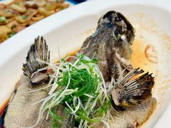 -顺峰(农展馆店)