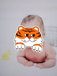-小熊维尼高端孕婴摄影(清湖金銮店)