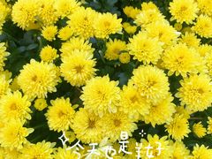 -杭州植物园