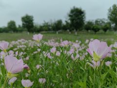 -汉长安城未央宫国家考古遗址公园