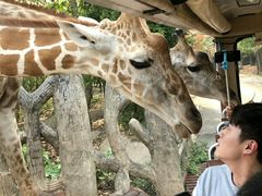 -清迈夜间动物园