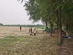-东郊湿地公园