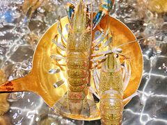 -海玥荟海鲜姿造自助餐厅(欧罗巴广场店)