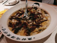 -江渔儿酸菜鱼(曜一城店)