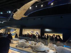 -Oasis Beauty水磨坊科技美肤中心