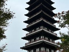 -宜兴龙背山森林公园