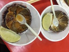 海胆-垦丁辉哥生鱼片