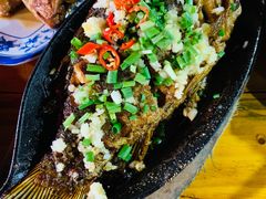 烤鲫鱼-老黑板筋(顺义总店)