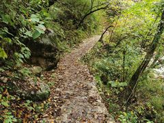 -青峰峡国家森林公园