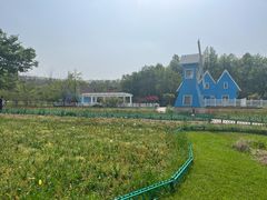 -宜兴龙背山森林公园