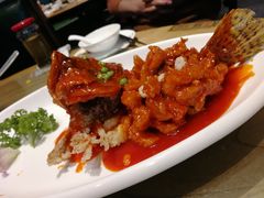 -新梅华(太仓万达店)