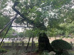 -汇龙潭