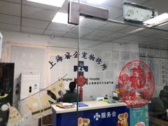 -睿金宠物医院·CT·肿瘤·骨外科