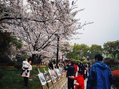 -堤角公园
