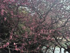 -白塘生态植物园