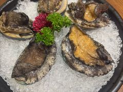 十头鲍-东海怡品海鲜豆捞(星街坊店)