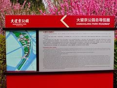 -大望京公园