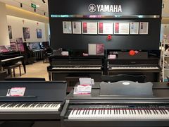 -雅歌音乐培训中心·钢琴培训·乐器培训(交道口店)