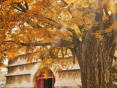 -北京石刻艺术博物馆(五塔寺)