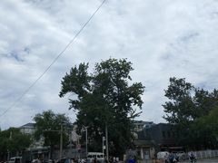-北京佛教居士林