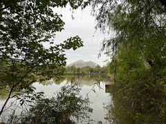 -泗洪洪泽湖湿地景区