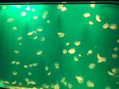 -福州罗源湾海洋世界旅游区