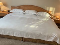 -南京维景国际大酒店(南京博物院店)